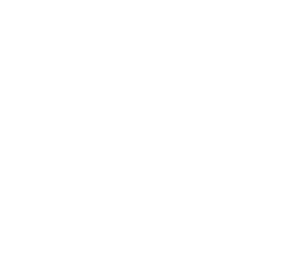 IDS