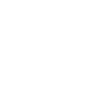 Salvador Caetano
