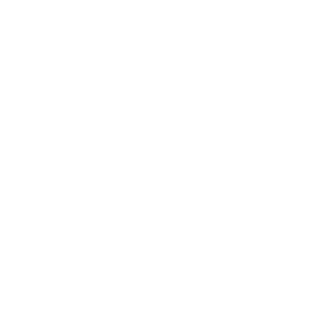 Speedy Motorsport